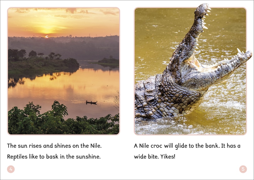 Aper&ccedil;u du contenu 3_Phonic Books Dandelion World VCe Spellings