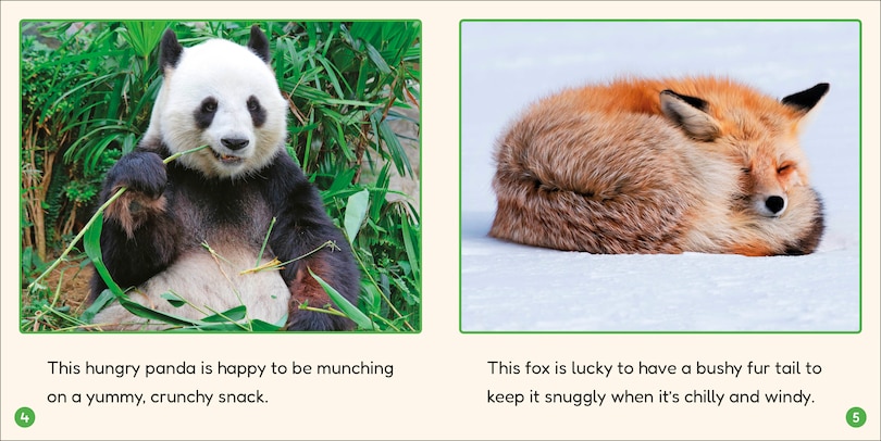 Sample content 2_Phonic Books Lift Off Readers Ending Spelling Patterns