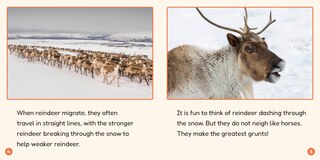 Sample content 2_Phonic Books Lift Off Readers Low Frequency Spellings