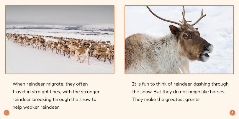 Sample content 2_Phonic Books Lift Off Readers Low Frequency Spellings