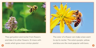 Sample content 5_Phonic Books Lift Off Readers Low Frequency Spellings