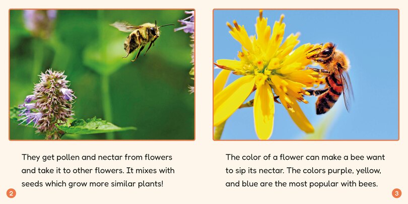 Sample content 5_Phonic Books Lift Off Readers Low Frequency Spellings