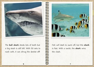 Aperçu du contenu 3_Phonic Books  The Fact Files 1