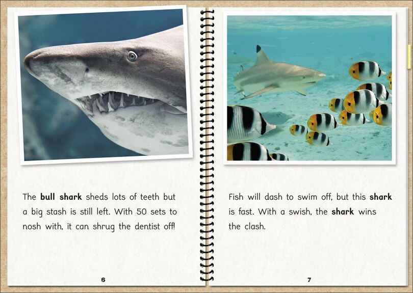 Aperçu du contenu 3_Phonic Books  The Fact Files 1