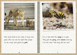 Aperçu du contenu 5_Phonic Books  The Fact Files 1