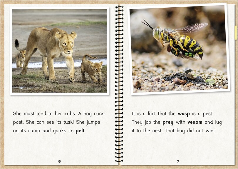 Aperçu du contenu 5_Phonic Books  The Fact Files 1