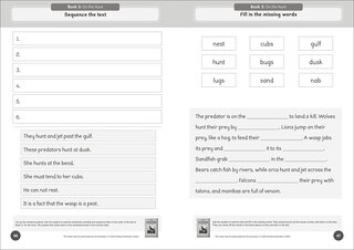 Aperçu du contenu 3_Phonic Books The Fact Files 1 Activities