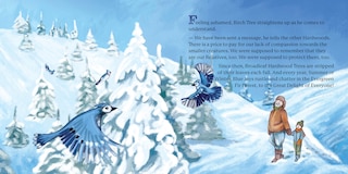 Sample content 5_Pineshish, The Blue Jay