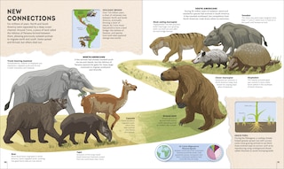 Sample content_Planet Earth: A 4.5 Billion Year Story