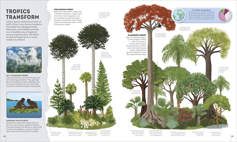 Sample content 2_Planet Earth: A 4.5 Billion Year Story