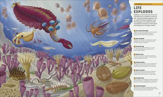 Sample content 5_Planet Earth: A 4.5 Billion Year Story