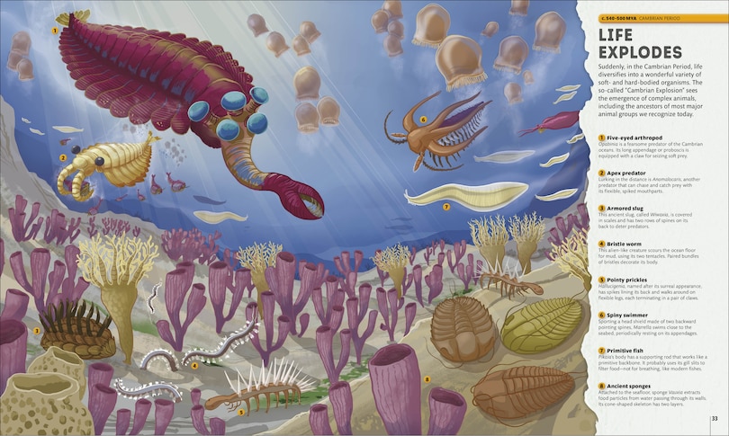 Sample content 5_Planet Earth: A 4.5 Billion Year Story