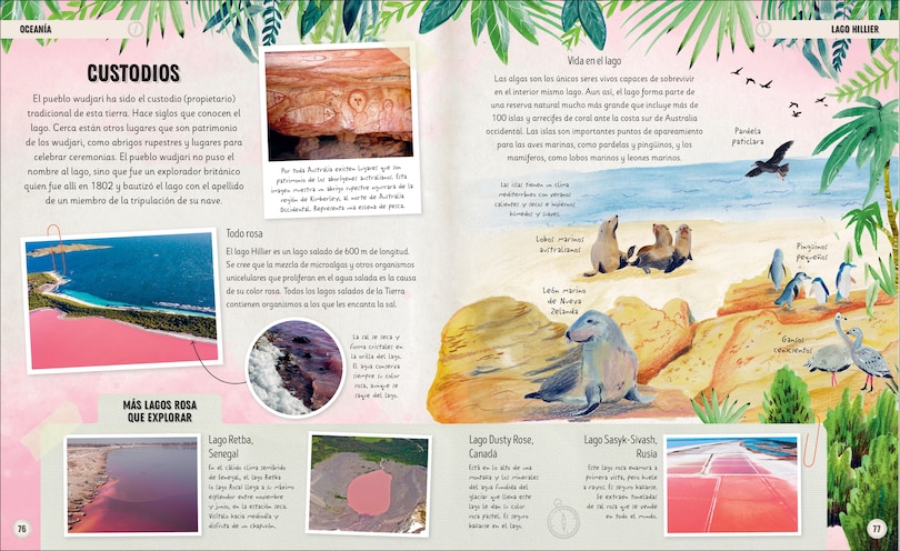 Sample content 2_Planeta increíble (Amazing Earth)