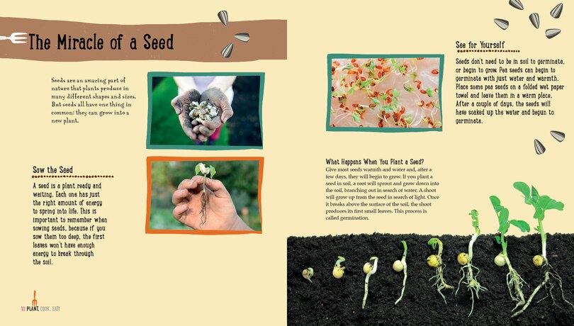 Sample content 3_Plant, Cook, Eat!