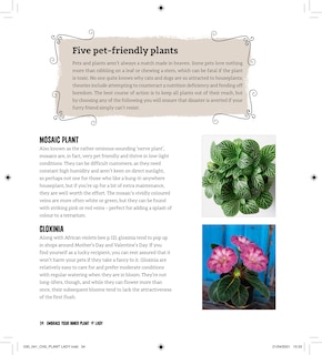 Aper&ccedil;u du contenu_Plant Lady