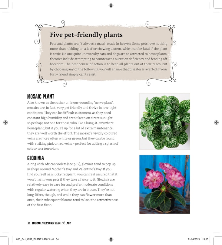 Aper&ccedil;u du contenu_Plant Lady
