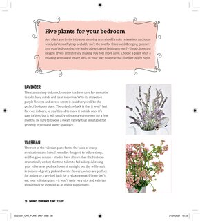 Aper&ccedil;u du contenu 4_Plant Lady