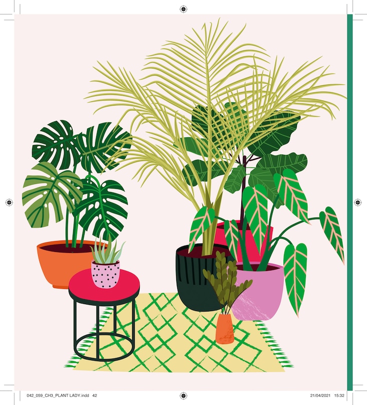 Aper&ccedil;u du contenu 5_Plant Lady