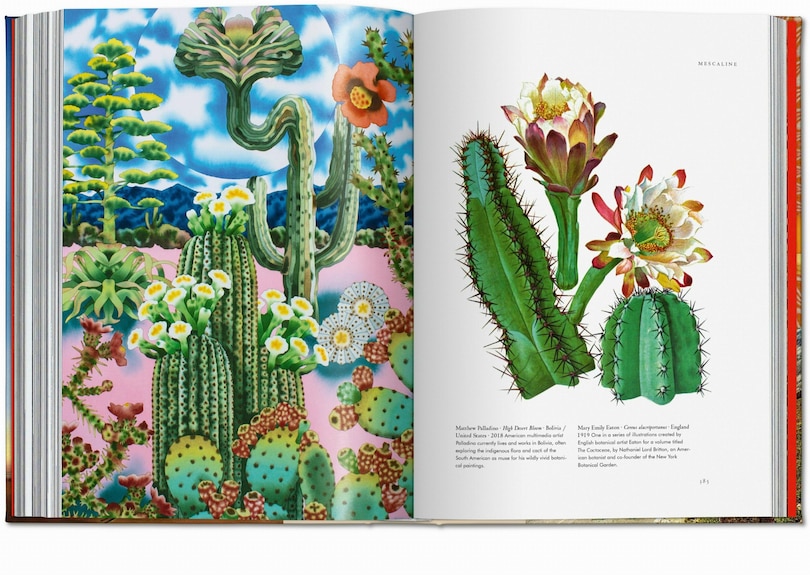 Sample content 5_Plant Magick. The Library of Esoterica