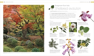 Sample content 4_Plants and Fungi