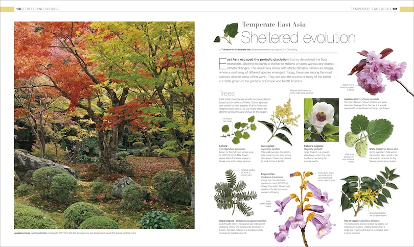 Sample content 4_Plants and Fungi