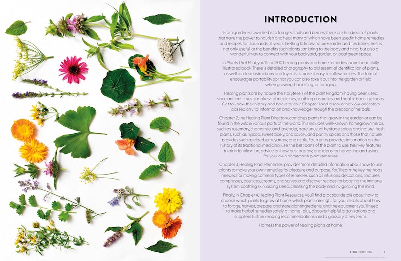 Sample content_Plants That Heal