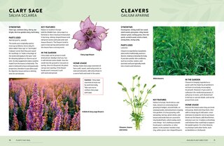 Sample content 2_Plants That Heal