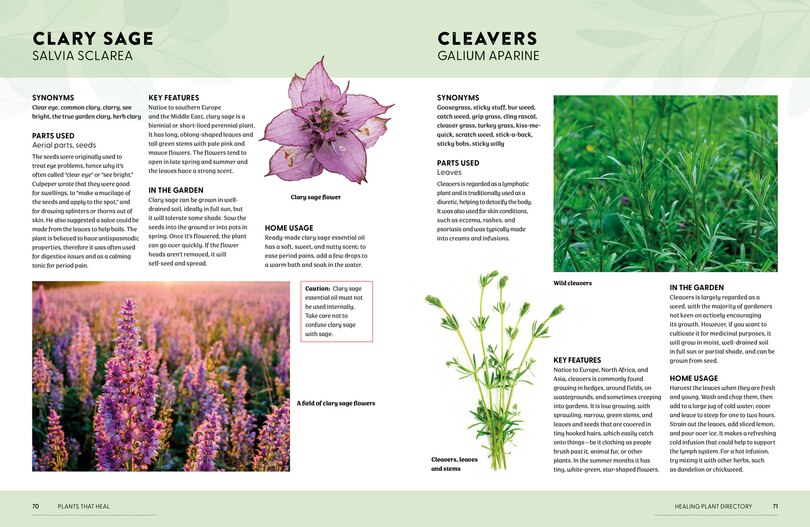 Sample content 2_Plants That Heal