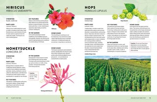 Sample content 3_Plants That Heal