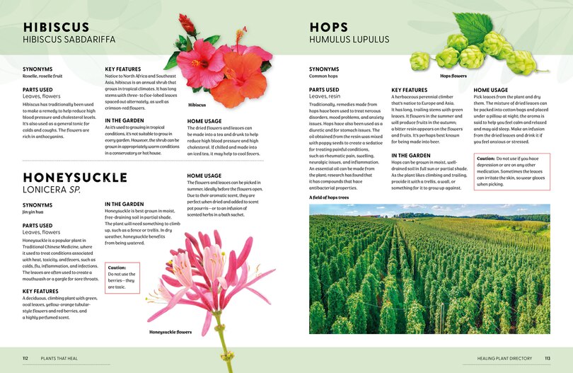 Sample content 3_Plants That Heal