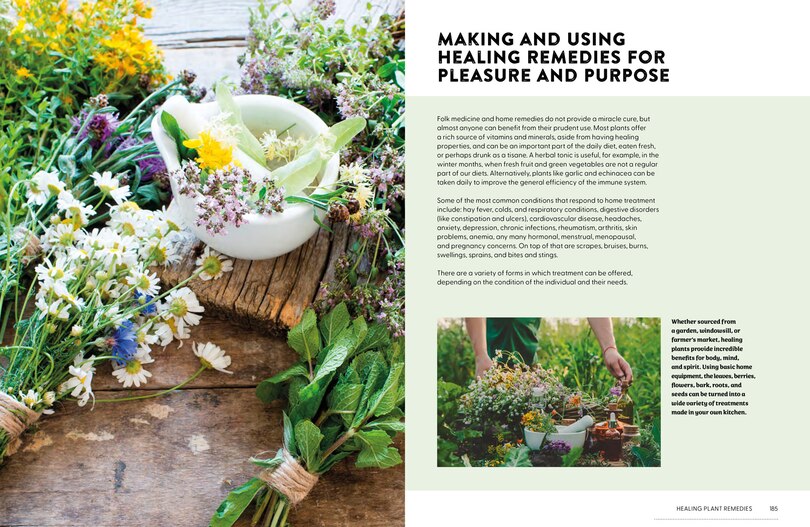 Sample content 4_Plants That Heal
