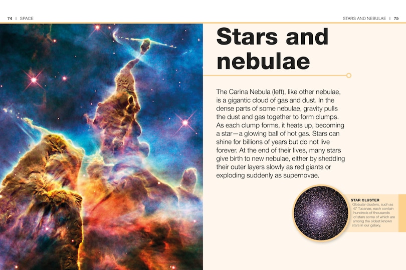 Sample content_Pocket Genius Space