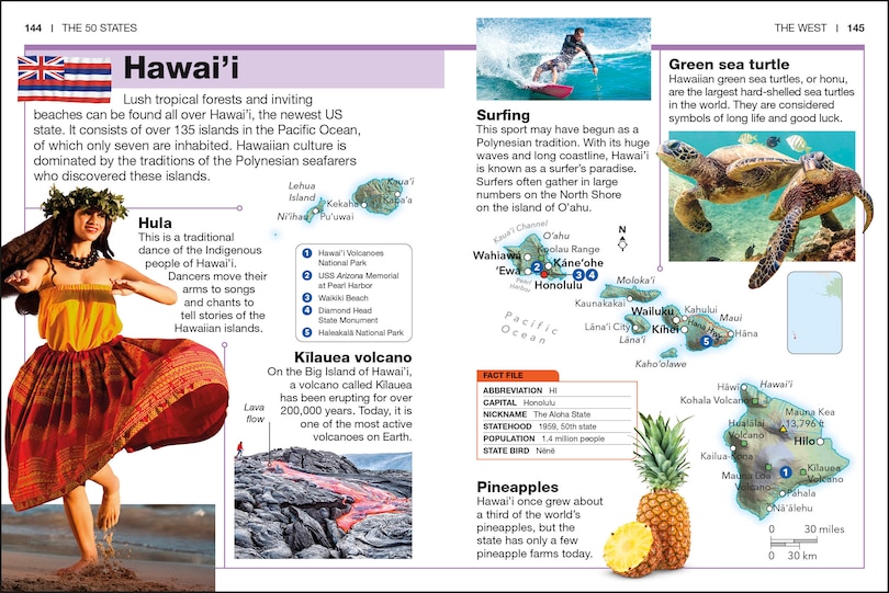 Aper&ccedil;u du contenu_Pocket Genius The 50 States