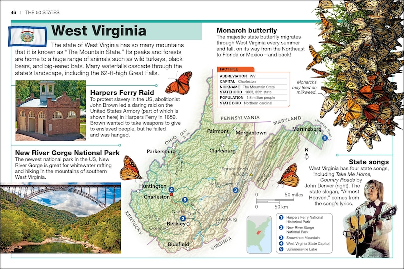 Aper&ccedil;u du contenu 3_Pocket Genius The 50 States