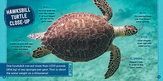 Sample content_Poisonous Animals (Wild World: Top 10)