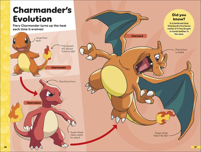 Sample content 3_Pok&eacute;mon Book of Evolutions