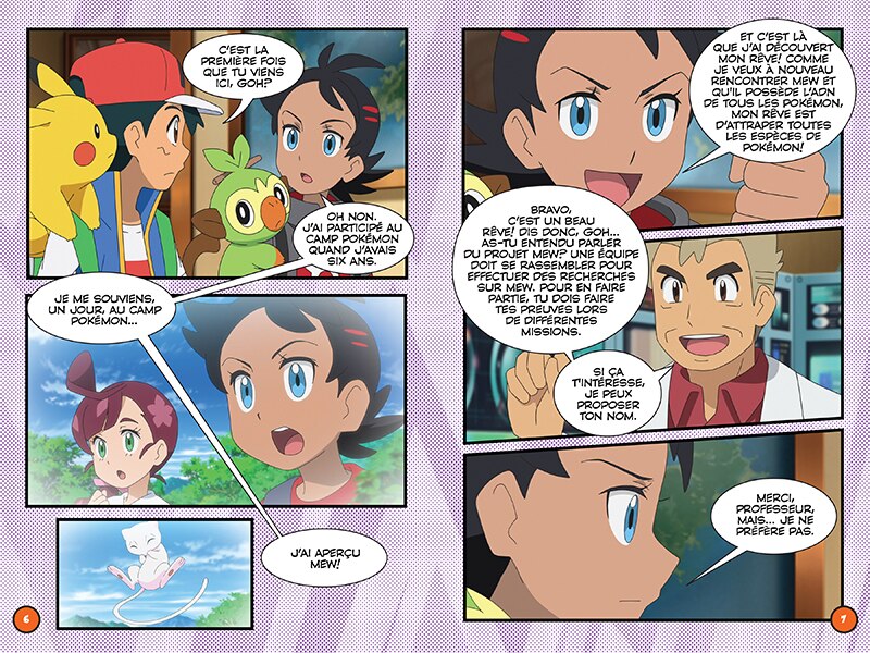 Aper&ccedil;u du contenu_Pok&eacute;mon : N&deg; 4 - Cauchemar l&eacute;gendaire