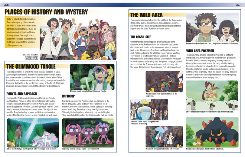 Aper&ccedil;u du contenu 4_Pok&eacute;mon Visual Companion Fifth Edition