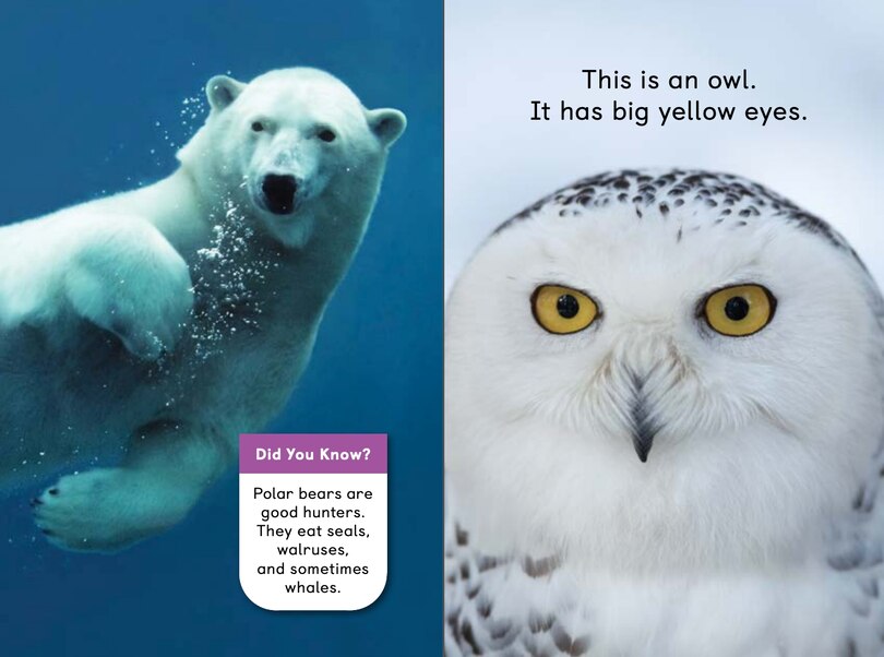 Sample content 3_Polar Animals