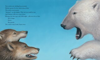 Sample content_Polar Bear