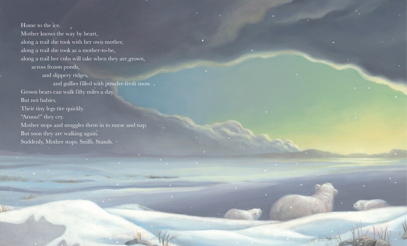 Sample content 2_Polar Bear