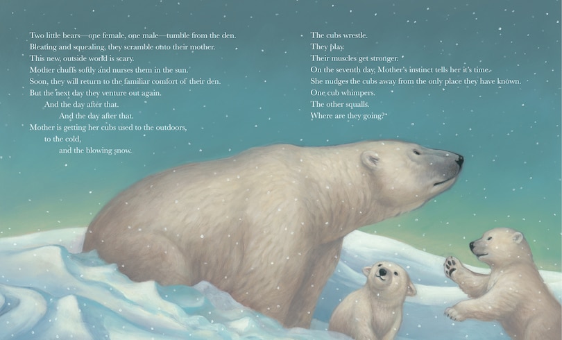 Sample content 3_Polar Bear