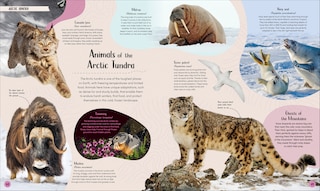 Sample content 2_Polar