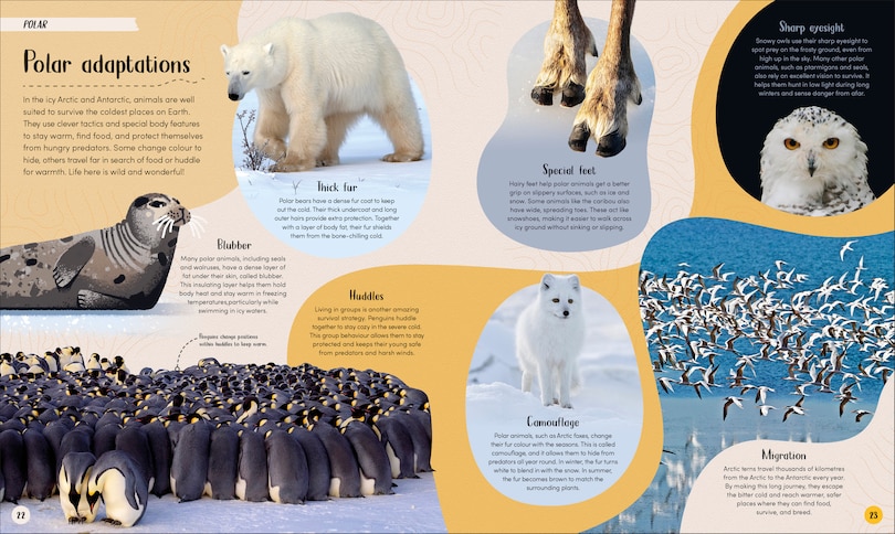 Sample content 3_Polar