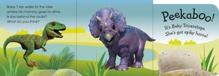 Sample content 2_Pop-up Peekaboo! Baby Dinosaur