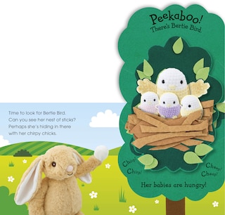 Sample content_Pop-Up Peekaboo! Bunny