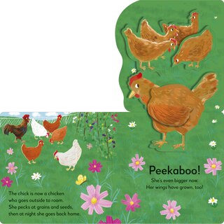 Aperçu du contenu_Pop-up Peekaboo! Chick