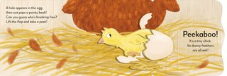 Aperçu du contenu 3_Pop-up Peekaboo! Chick