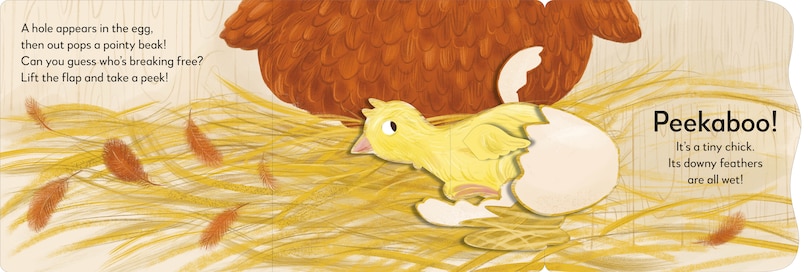 Aperçu du contenu 3_Pop-up Peekaboo! Chick