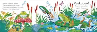 Sample content_Pop-Up Peekaboo! Frog